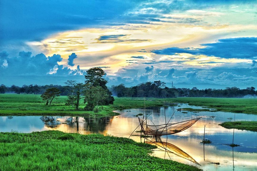 Manas National Park